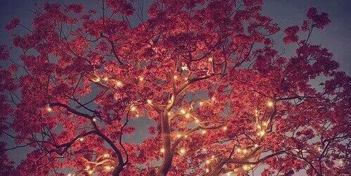 . banner