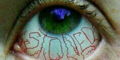 Pranaya_'s profile banner image