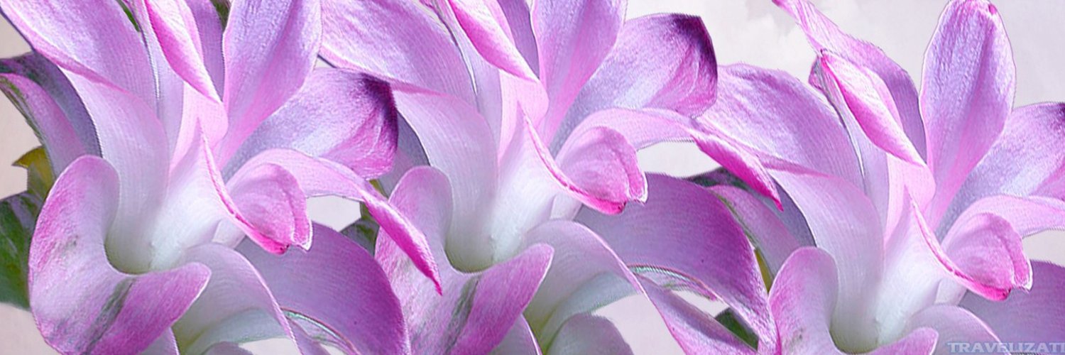 KLJCitsme's profile banner image