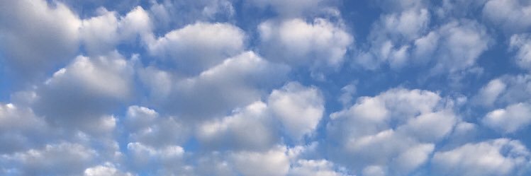 Jay_Schill's profile banner image