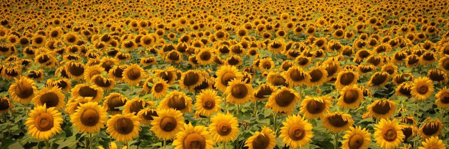 gypsyflutterby banner