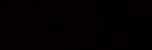 pastafarya's profile banner image