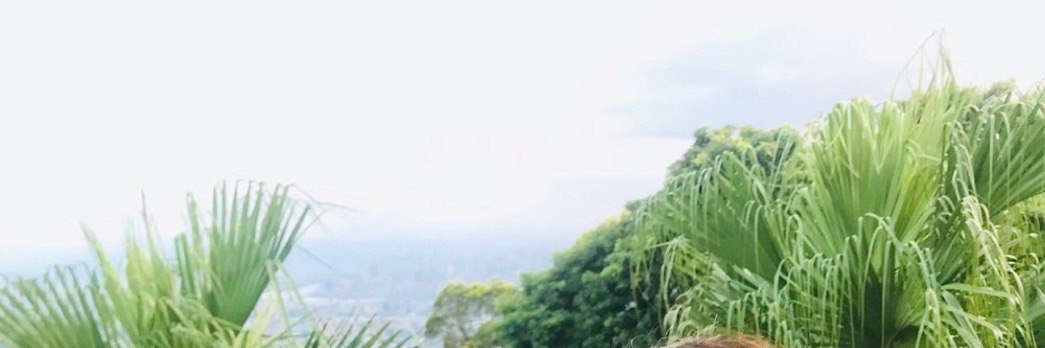 audreyptgf's profile banner image