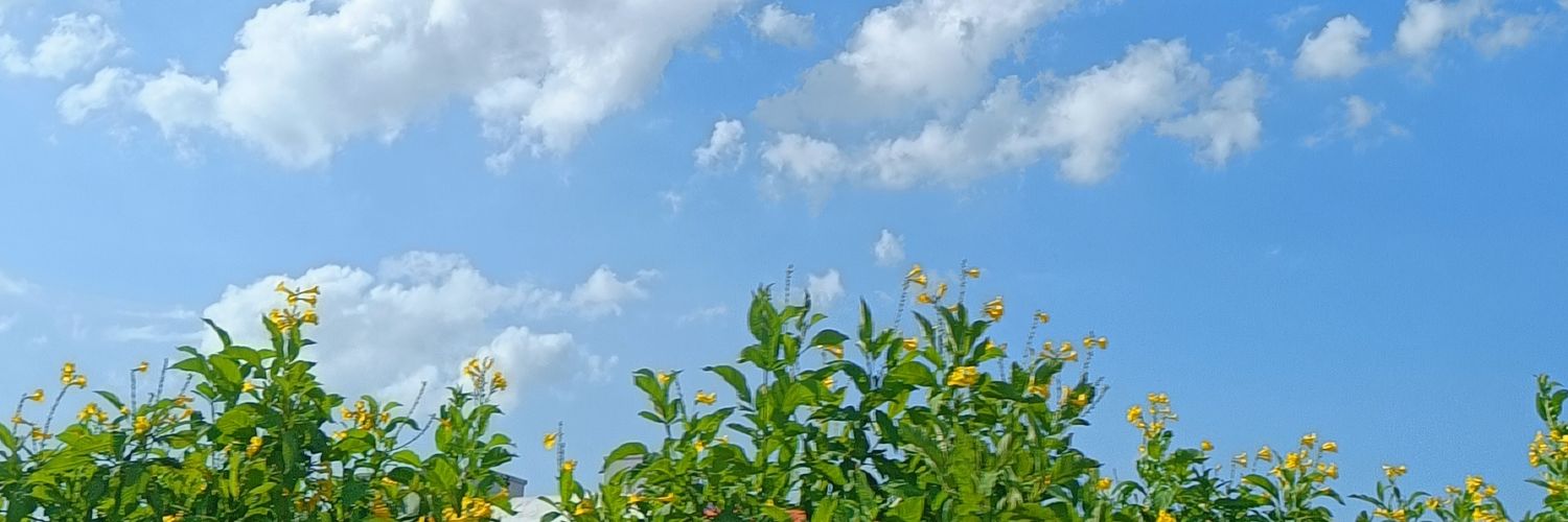 Harshita Dutta banner