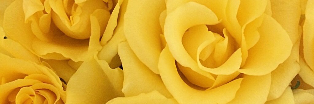 NikolThaCreator's profile banner image