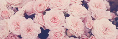 Nabila Apriliyanti banner