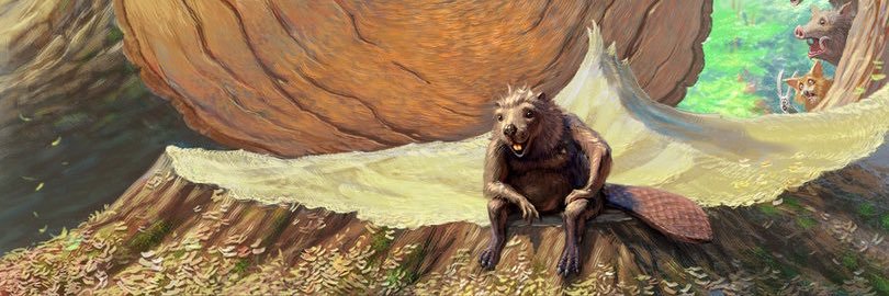 дени бе banner