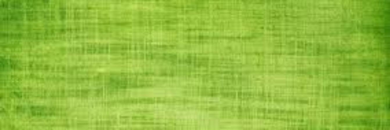 DanielPachecoDG banner