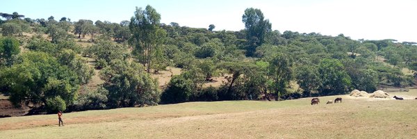 BitewMamaru Profile Banner