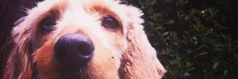 Cami_vrgs's profile banner image