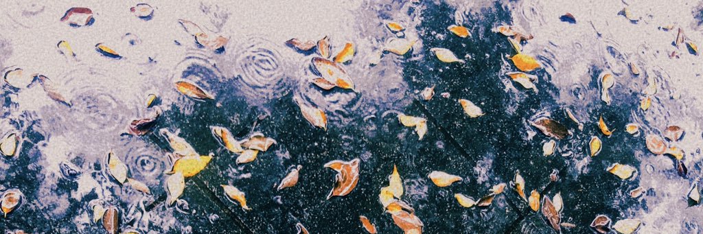 peng_sin's profile banner image