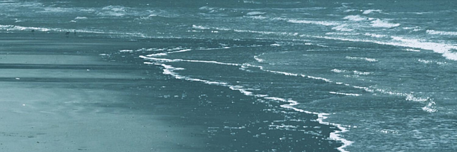 Ashen Seas 🍁 banner