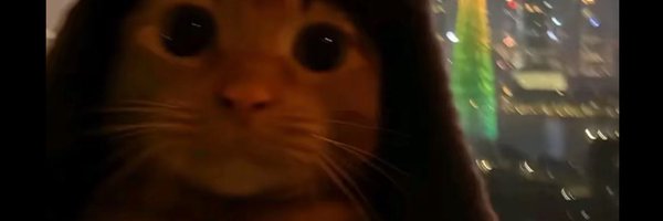 tameremakeh Profile Banner