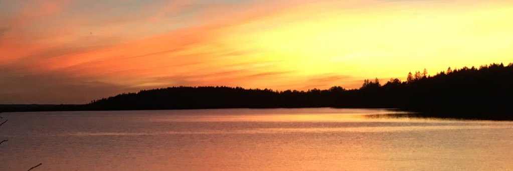 MeredithLEvans's profile banner image
