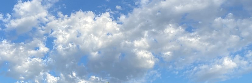 lmkienteca's profile banner image