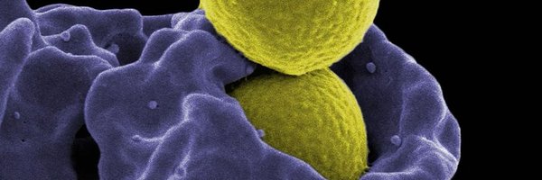 GCCIMM Profile Banner