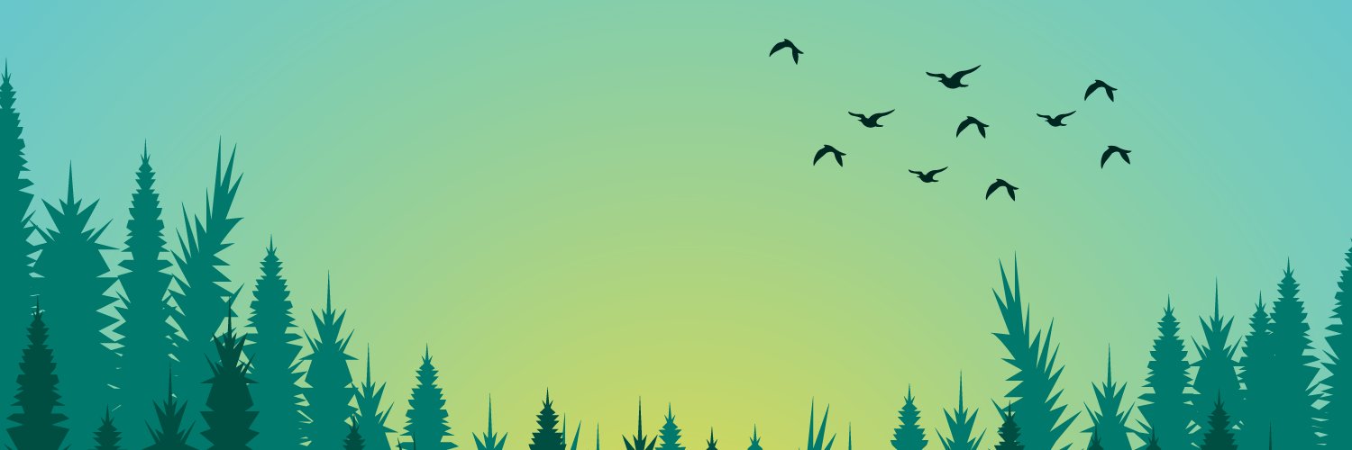 RexpondeBr's profile banner image