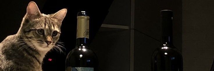 木 banner