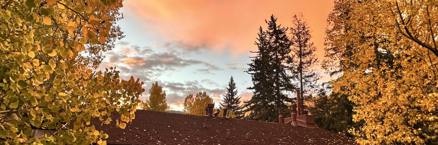 胆小的偷窥笨猫 banner