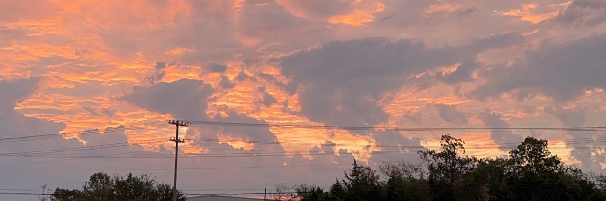 Trllsn banner