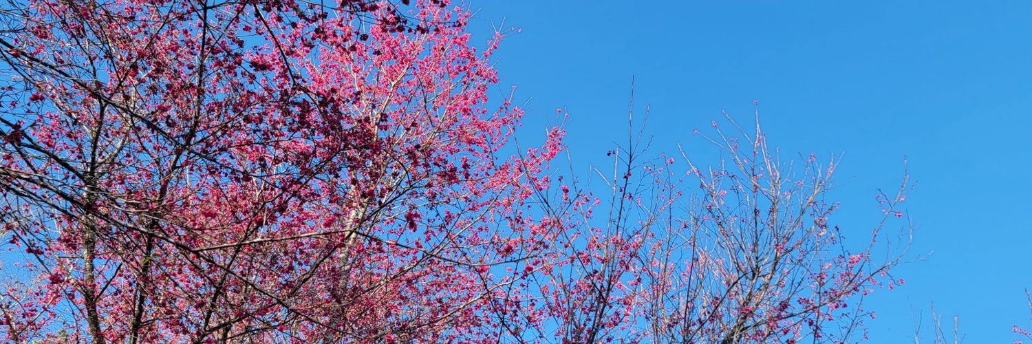 不可能的任務 banner