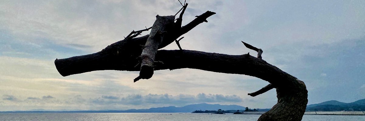 inthefray's profile banner image