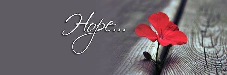 Elsa banner