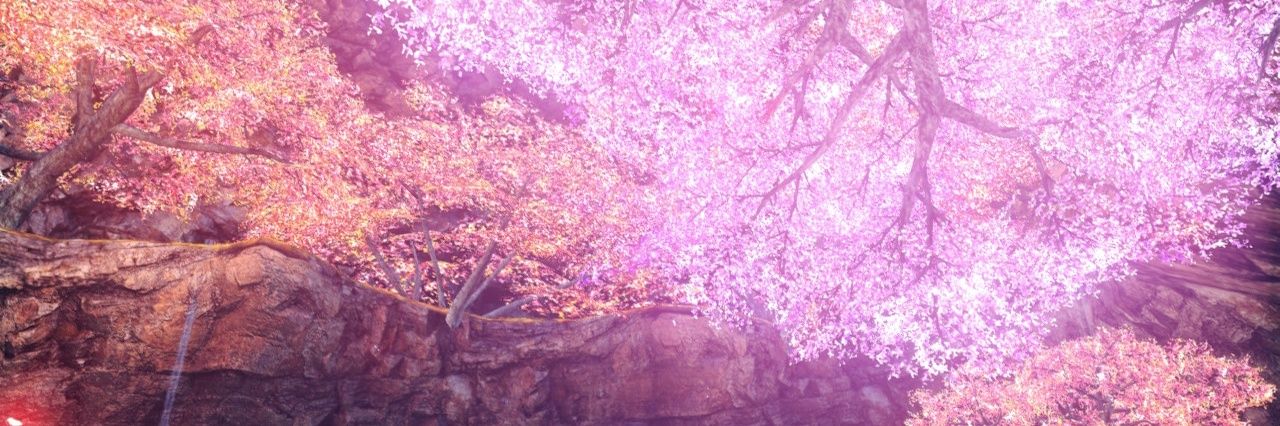 0629jinnryu's profile banner image