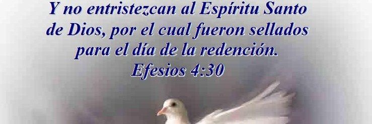 🤍Elizabeth Paulette Ulloa Castle🤍Docente📚📝💼 banner