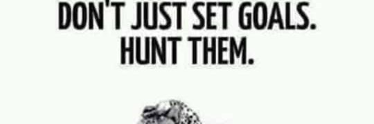 Star 🌟 goddess spurprotocol banner