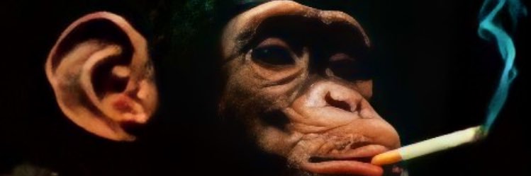 stevo_fagan's profile banner image