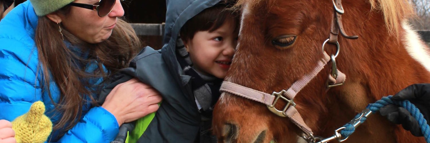 Project Horse banner