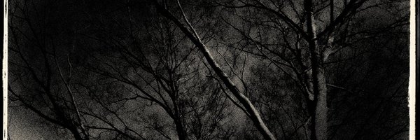 machimoto19801 Profile Banner