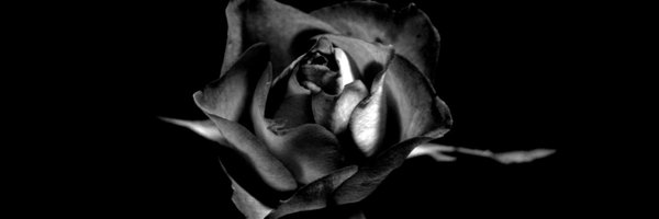 machimoto19801 Profile Banner