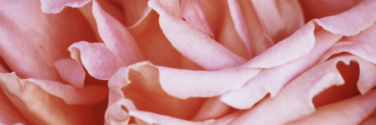 ceciisp's profile banner image