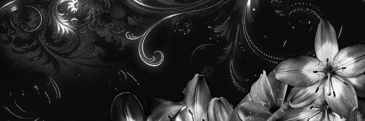 jellybunny 𓏲ּ𝄢⋆ banner