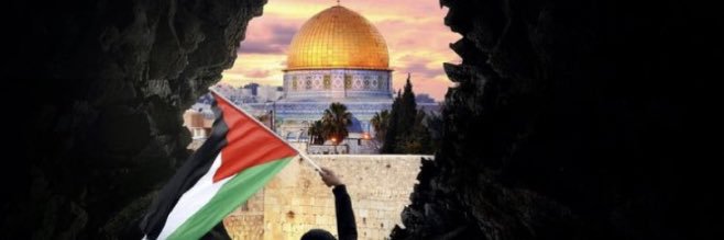 REYMSIZ banner