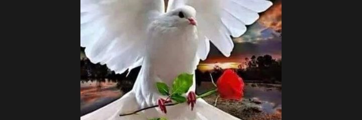 MAHSUN👉🏻65 banner