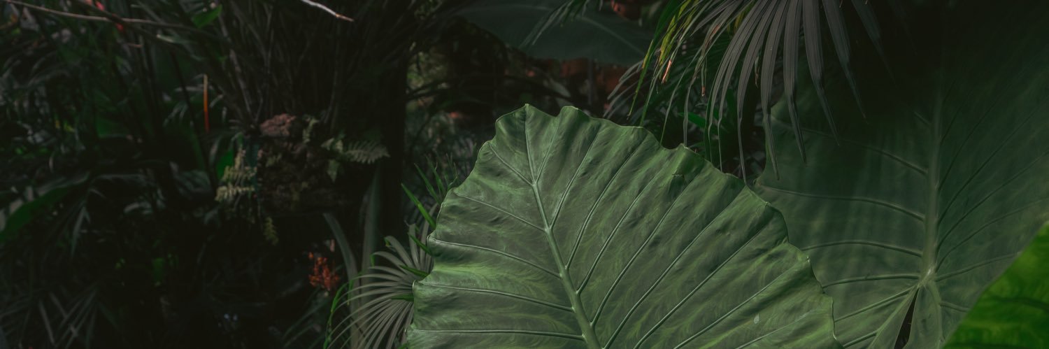 normanwikner's profile banner image
