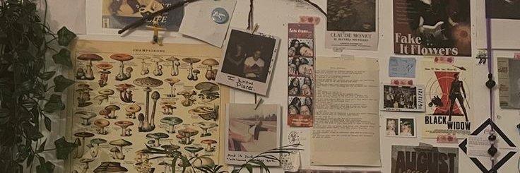 cat_potatbread's profile banner image