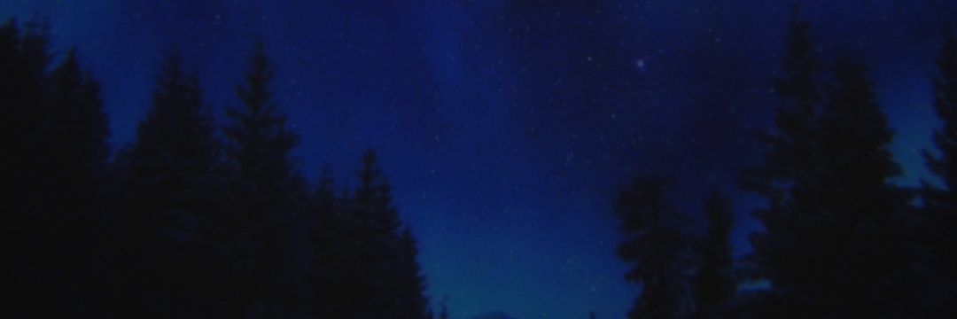 𝐙𝐚𝐲𝐧𝐞 黎深 banner