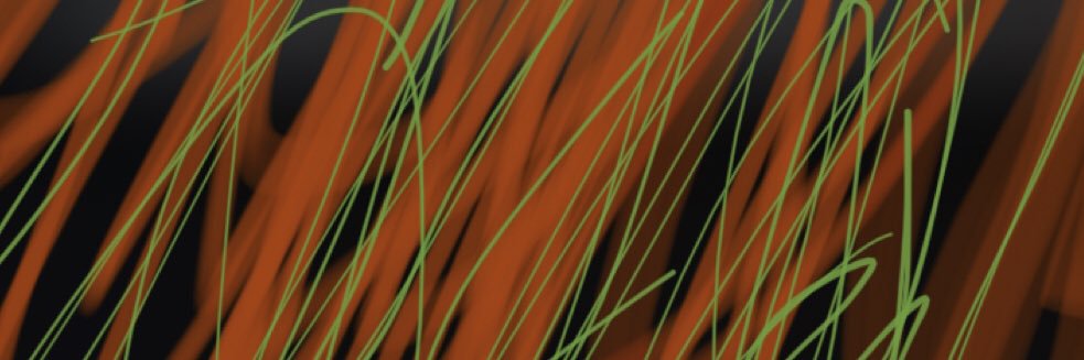 حمموشي عدن banner