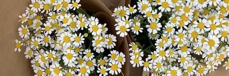 flordallag's profile banner image
