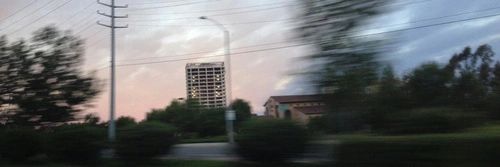 martiborre's profile banner image