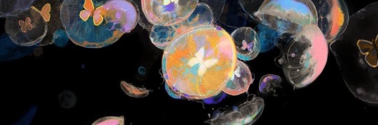 stoneyasstree's profile banner image