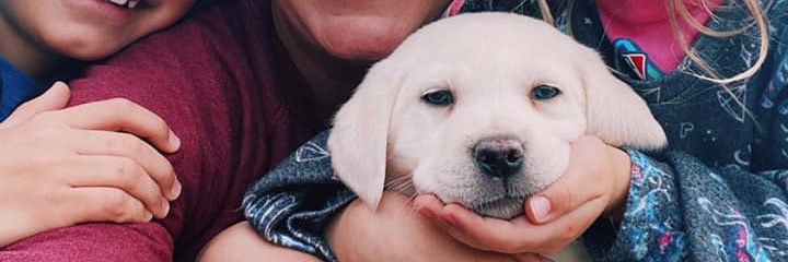 Maya Enista Smith banner