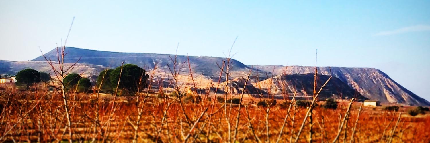 joelarbones's profile banner image