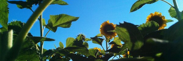 _Savage_AT Profile Banner