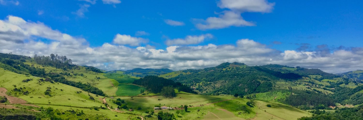 Gus' Szilagyi (@Gu_sccp) / Posts / X