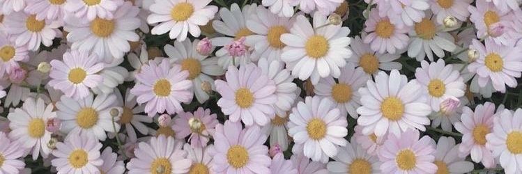 JuliMichia's profile banner image